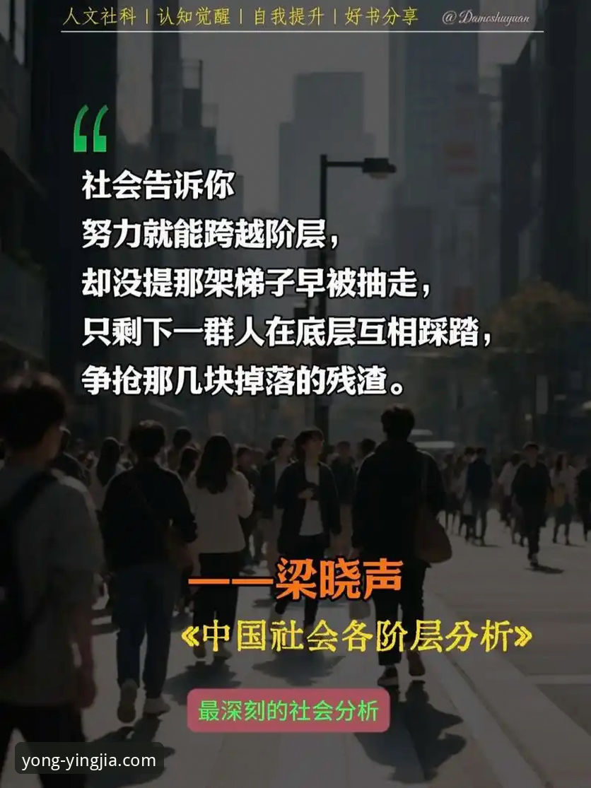 深度揭秘：盈嘉体育安卓版为何成为体育爱好者的首选平台？